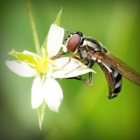 /album/my-family-/photolia-a02-jpg/