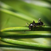 /album/my-family-/photolia-a05-jpg/