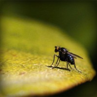 /album/my-family-/photolia-a07-jpg/